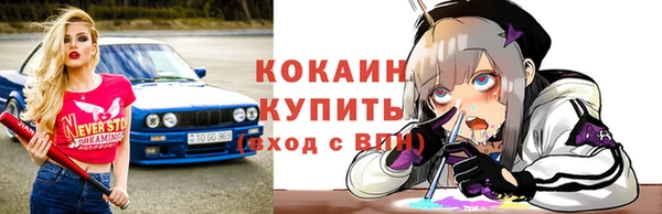 прущие грибы Горнозаводск
