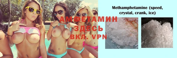 прущие грибы Горнозаводск