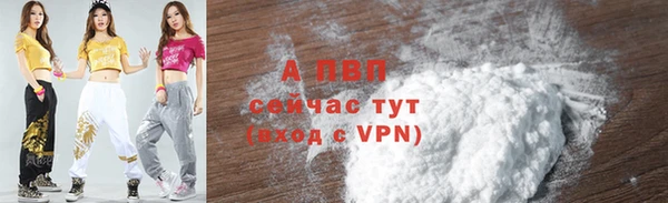 прущие грибы Горнозаводск