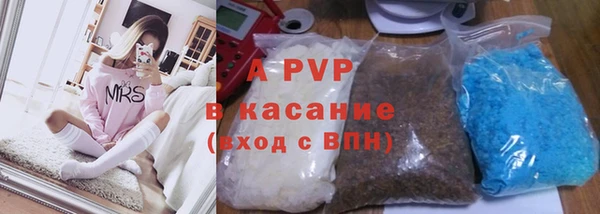 прущие грибы Горнозаводск