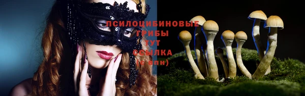 прущие грибы Горнозаводск