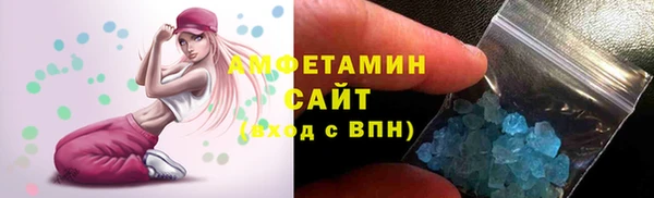 прущие грибы Горнозаводск