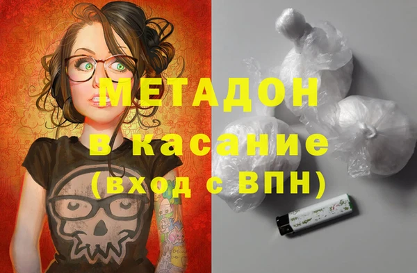 прущие грибы Горнозаводск