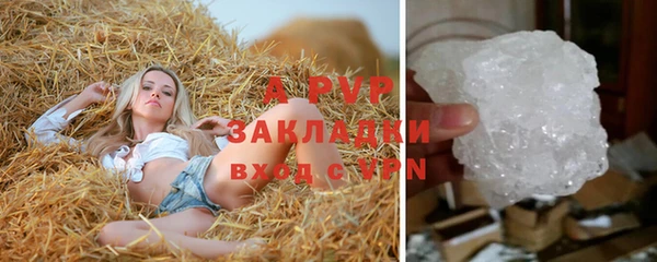 прущие грибы Горнозаводск