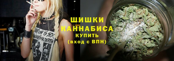 прущие грибы Горнозаводск