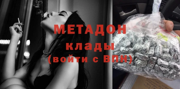 прущие грибы Горнозаводск